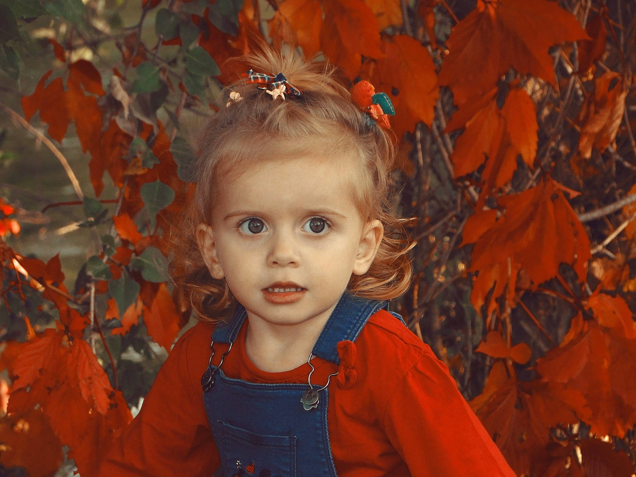 Cassandra participe au concours pour gagner de l'argent avec cette photo : adaptation, art, autumn, cheek, child, child_model, eye, face, head, iris, leaf, orange, painting, person, photography, portrait, portrait_photography, smile, toddler