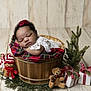 baby, sleeping, basket, plaid_cloth, gingerbread_man, teddy_bear, holiday_decorations, christmas_gifts, pine_tree, wooden_floor, headband, red_flower, infant, cozy, festive, cute, portrait, indoors, peaceful, decor