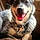 Wolfie James Huffman