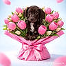 puppy, dog, flower_bouquet, pink_tulips, pink_wrapping, satin_bow, cute, pet, animal, spring, fresh_flowers, green_leaves, adorable, portrait, small_dog, brown_puppy, floral_arrangement, studio_shot, isolated, gift