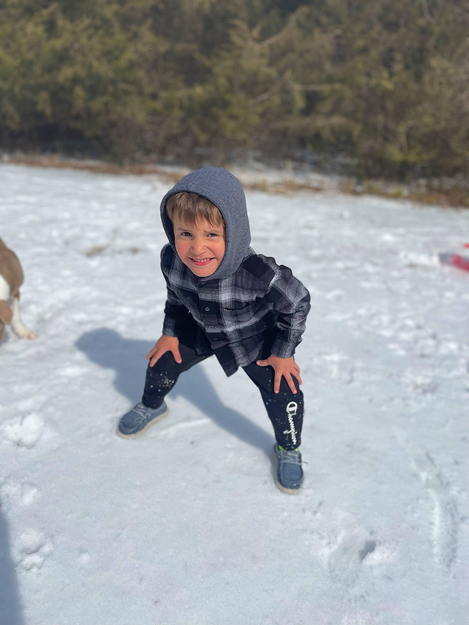 Buckxten is registered to the contest to win money with this photo: freezing, fun, geological_phenomenon, glove, hood, ice_cap, jacket, joy, landscape, leisure, people_in_nature, person, personal_protective_equipment, playing_in_the_snow, recreation, sleeve, smile, snow, toddler, tree