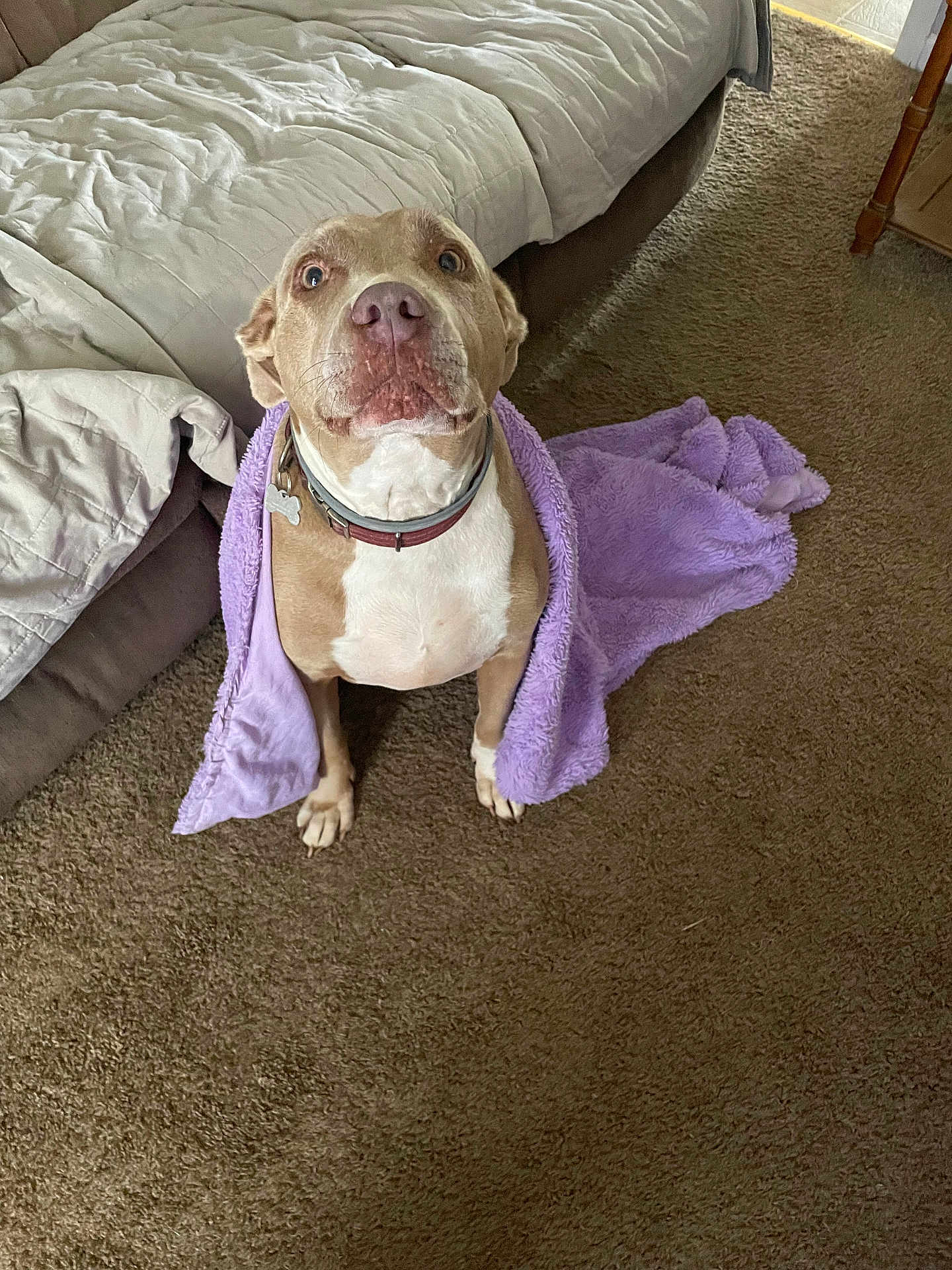 Skye