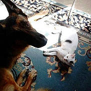 Rick a rejoint le concours — aidez-le/la à gagner de superbes lots !