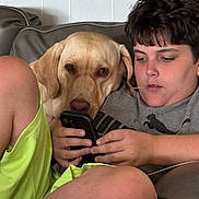 Bubbles is registered to the contest to win money with this photo: person, dog, labrador, couch, phone, indoor, leisure, casual_clothing, shorts, tshirt, pet, companion, relaxing, brown_hair, focused, technology, home, comfort, friendship, resting