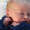 newborn, baby, sleeping, blue_fabric, close_up, face, hands, resting, book, text, soft_light, infant, peaceful, skin, portrait, cute, young_child, indoors, human, tender