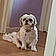 Roxy