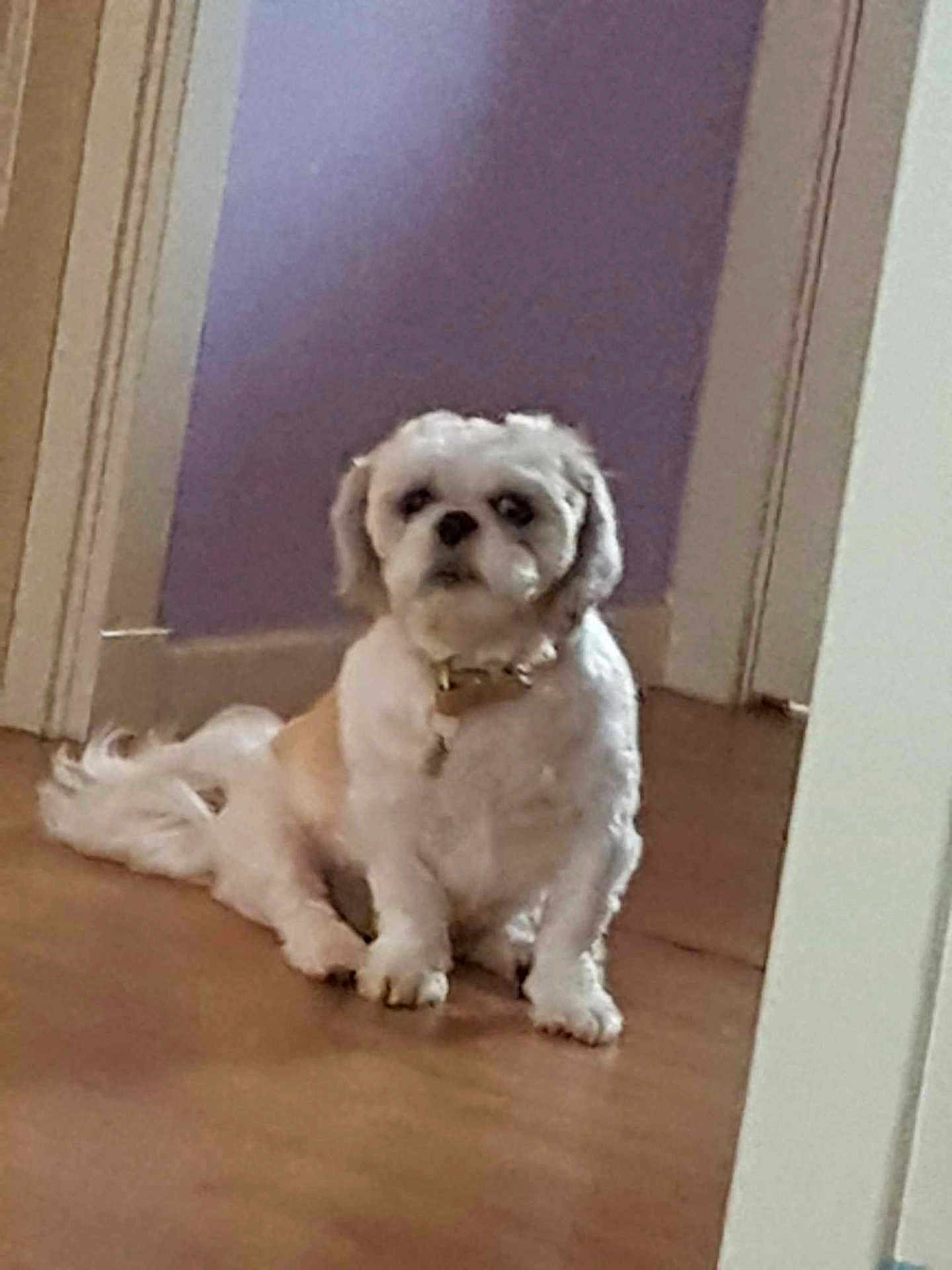 Roxy