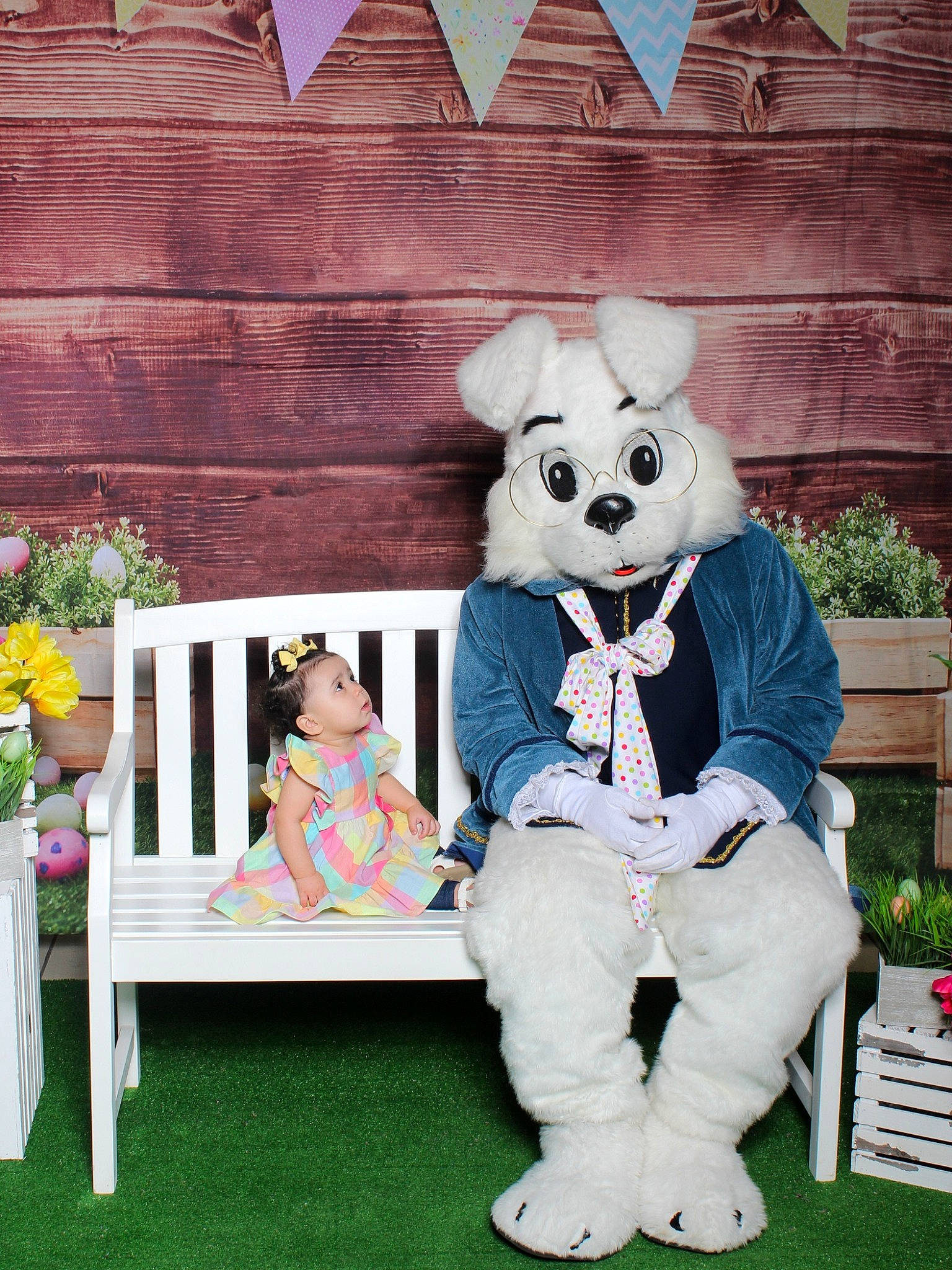 Aalayah joined the competition — help win amazing prizes! chair, child, companion_dog, design, event, fun, fur, grass, happy, leisure, mascot, person, pink, plant, recreation, sitting, stuffed_toy, teddy_bear, textile, toy