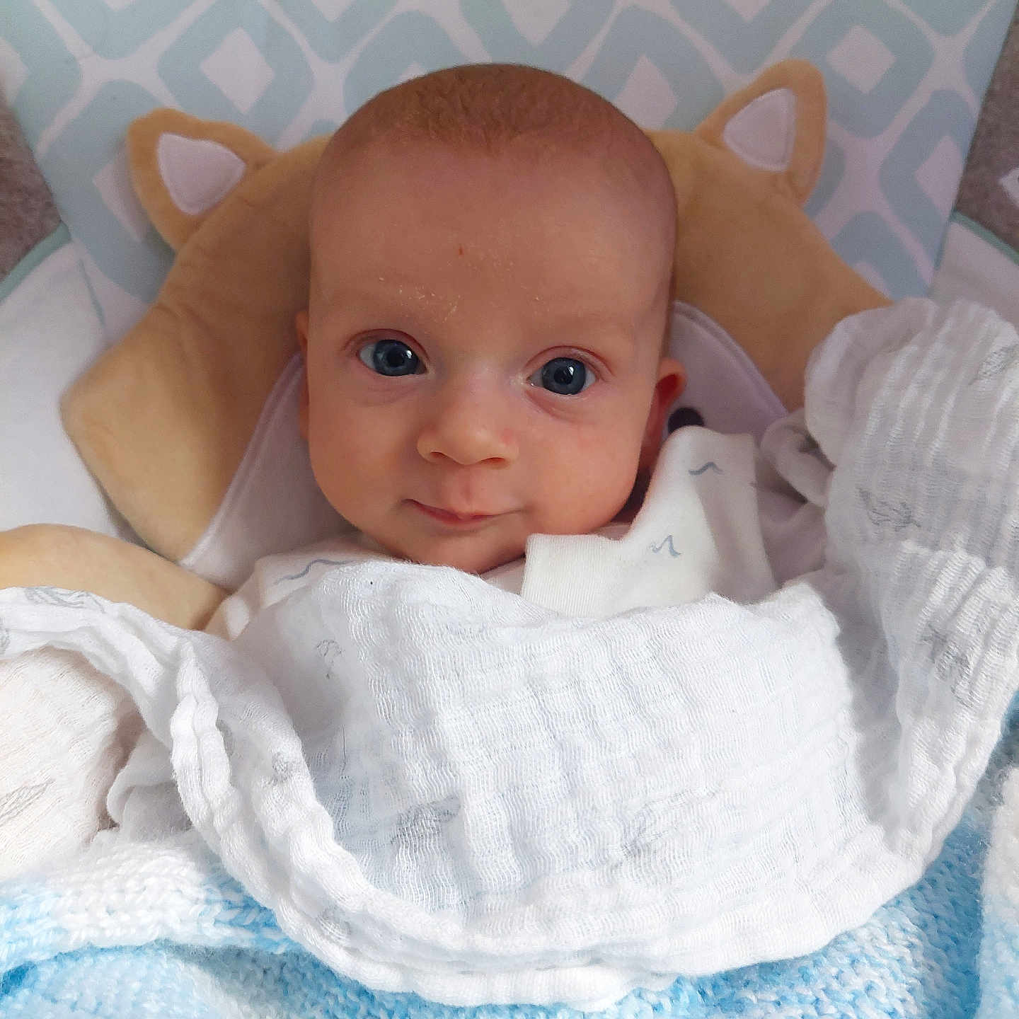 Duncan joined the competition — help win amazing prizes! baby, blanket, blue, child, cozy, cute, eyes, face, head, indoors, infant, looking, pillow, portrait, resting, snug, soft, white, wrapped, young