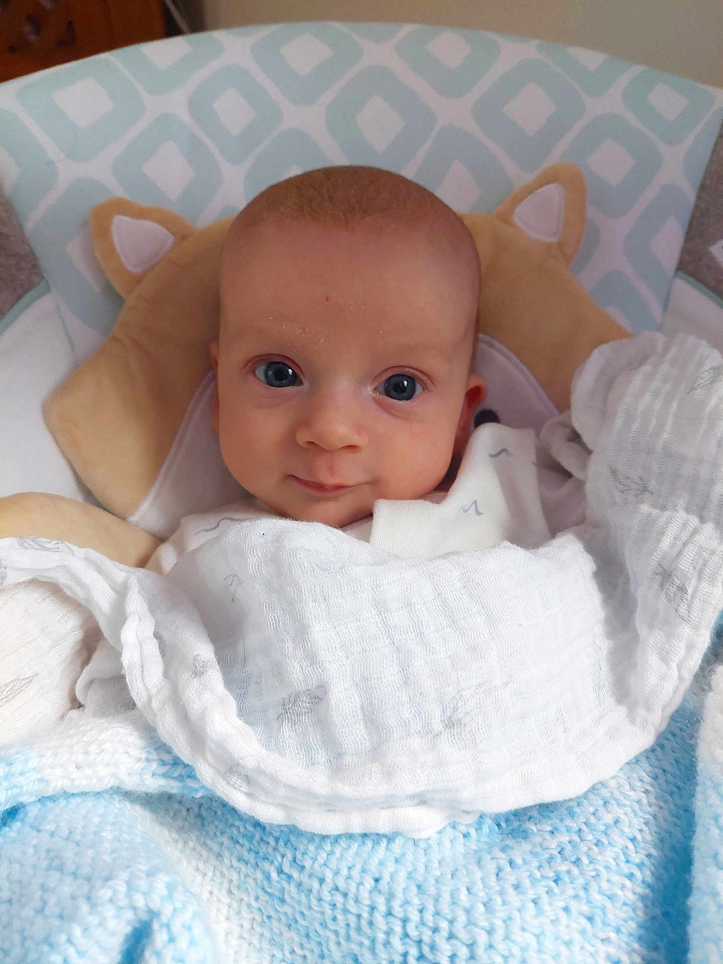 Duncan joined the competition — help win amazing prizes! baby, blanket, blue, cozy, cute, face, infant, looking, pillow, portrait, resting, snug, soft, white, wrapped, young, child, head, eyes, indoors