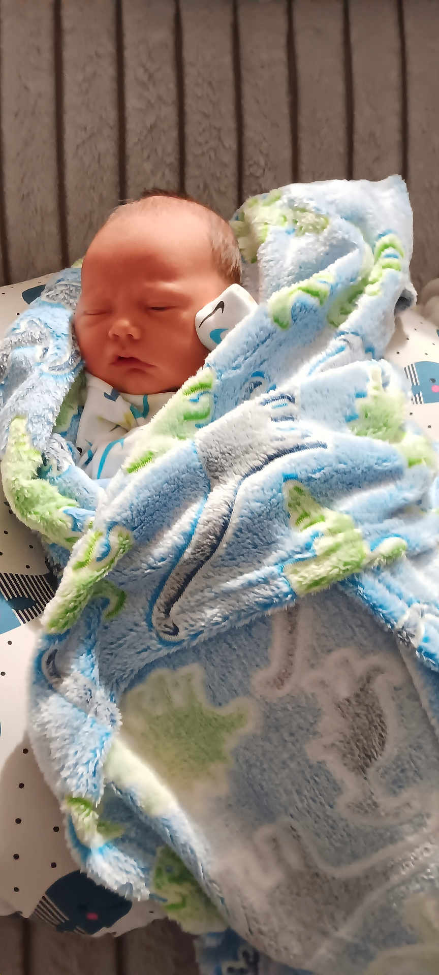 Gabriel joined the competition — help win amazing prizes! baby, newborn, sleeping, blanket, blue_blanket, dinosaur_pattern, infant, bed, mattress, soft_texture, cozy, child, wrapped, cute, peaceful, indoors, portrait, resting, face, head