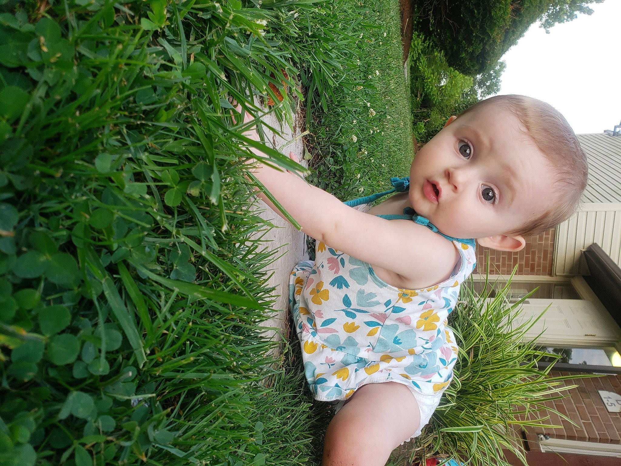 Vaeda is registered to the contest to win money with this photo: baby, baby_toddler_clothing, child, fun, garden, grass, grass_family, groundcover, happy, leisure, people_in_nature, person, plant, skin, spring, summer, surprise, terrestrial_plant, toddler, tree