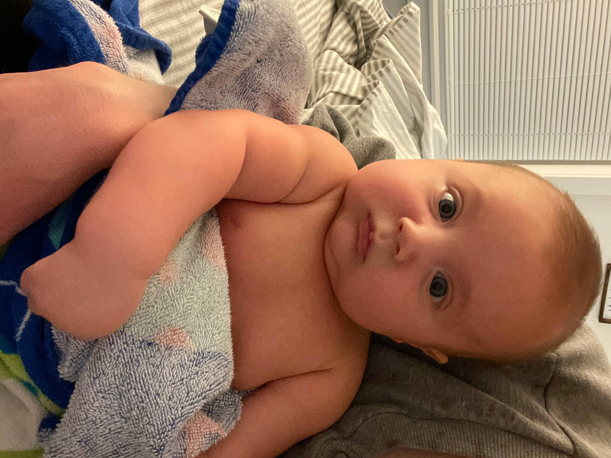 Hudson is registered to the contest to win money with this photo: arm, chest, comfort, eye, eyelash, facial_expression, finger, hairstyle, hand, head, human_body, joint, lip, mouth, muscle, nose, person, skin, textile, toddler