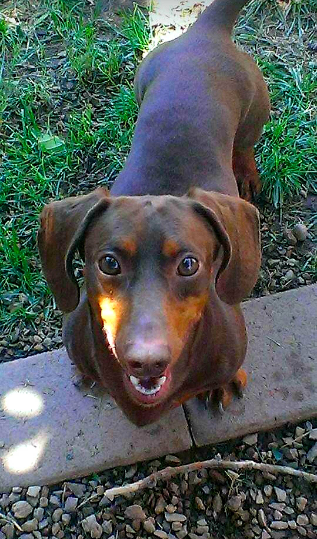 Bubba