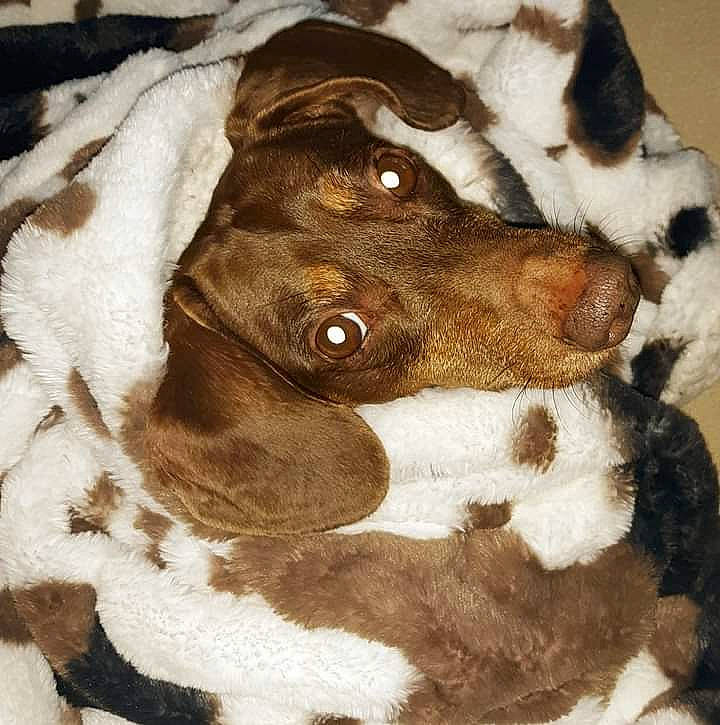 Bubba