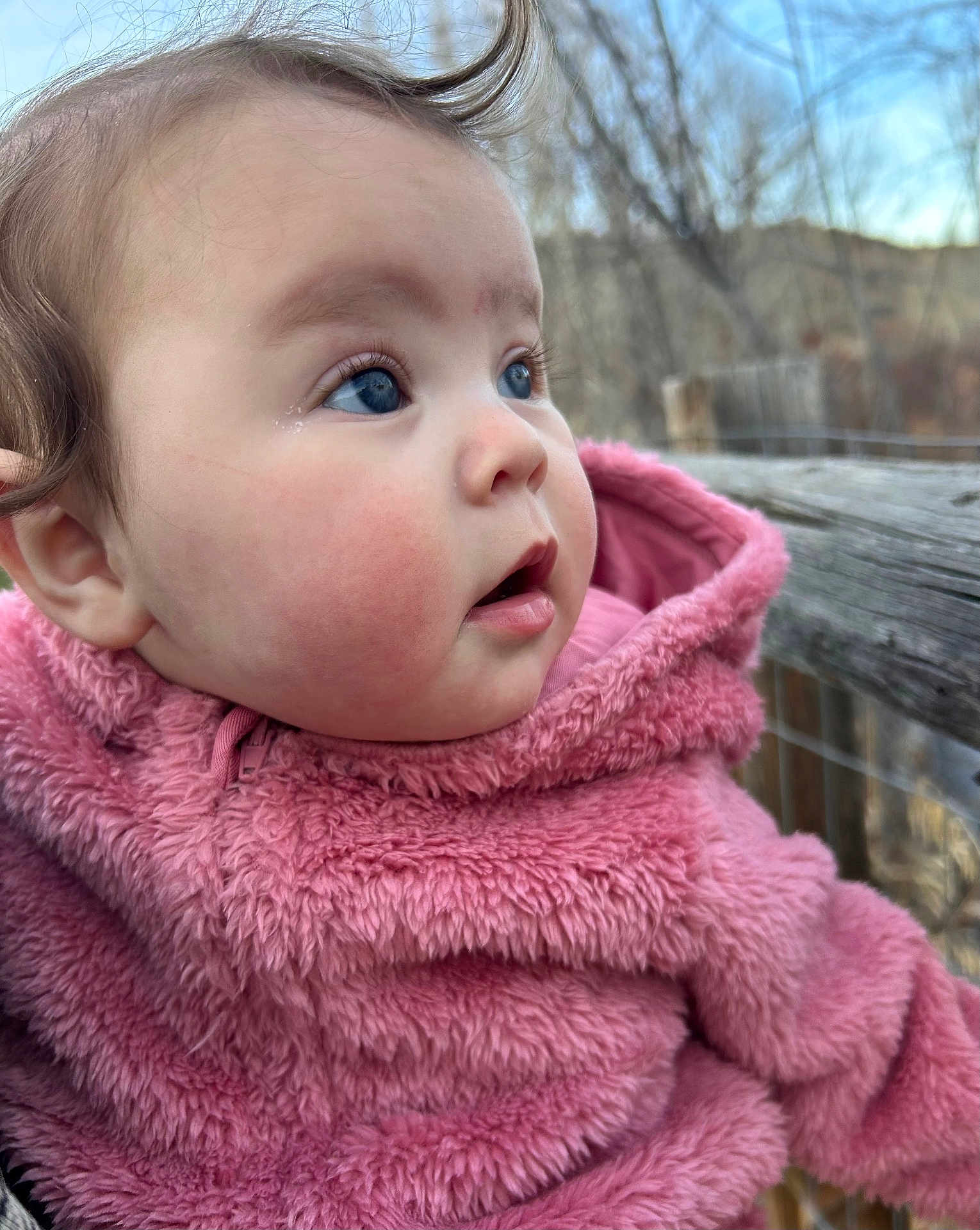 Jaylynn joined the competition — help win amazing prizes! baby, child, blue_eyes, pink_jacket, fluffy_clothing, outdoor, portrait, curious_gaze, face, head, winter_clothing, nature_background, wooden_fence, trees, cold_weather, cute, infant, close_up, soft_texture, skin