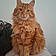 Mimolette