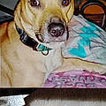Penny M.