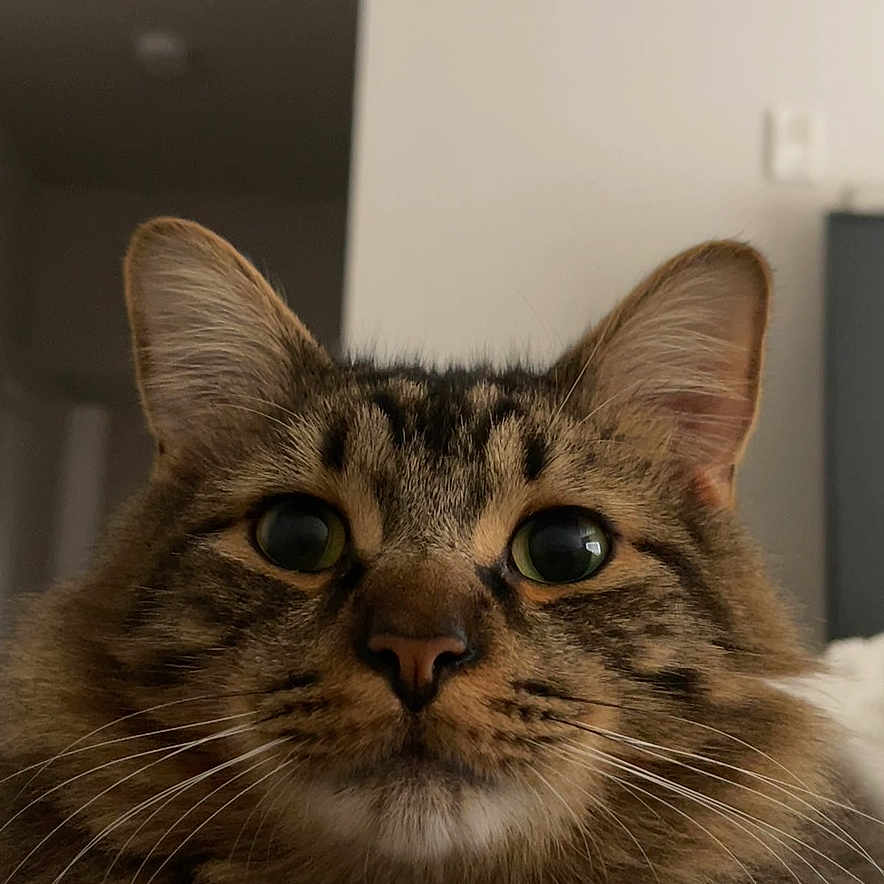 Oliver