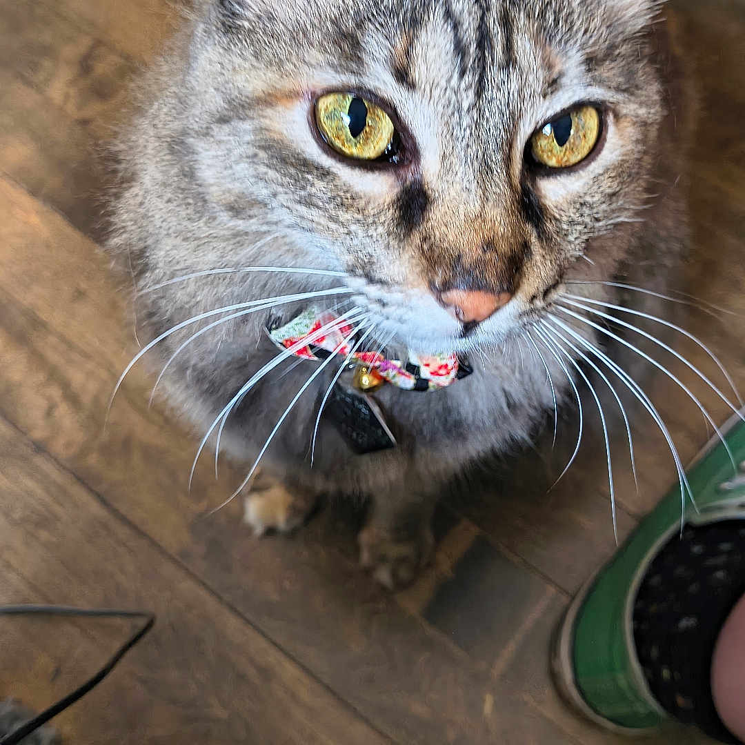 Zoe