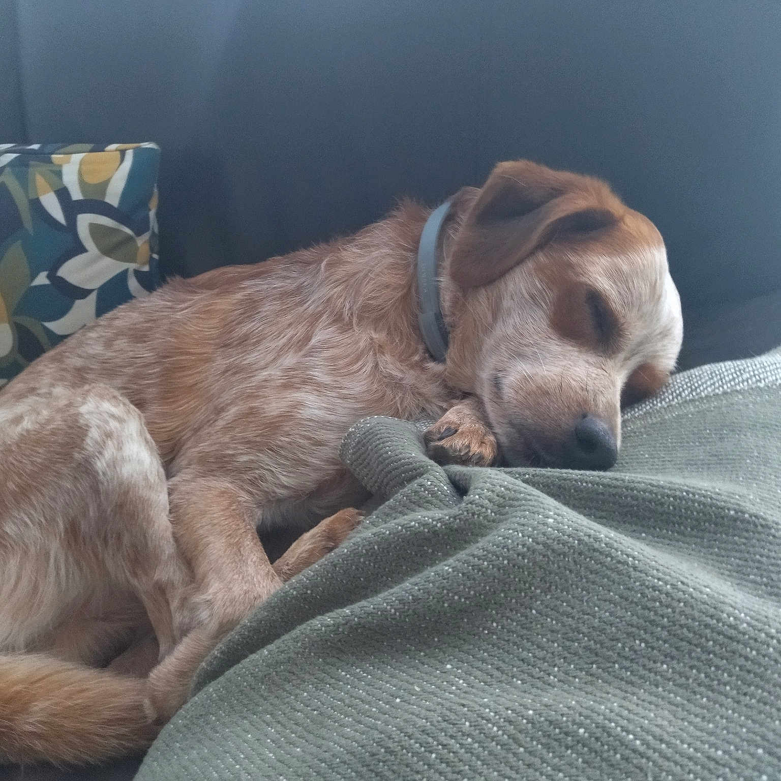 Marley