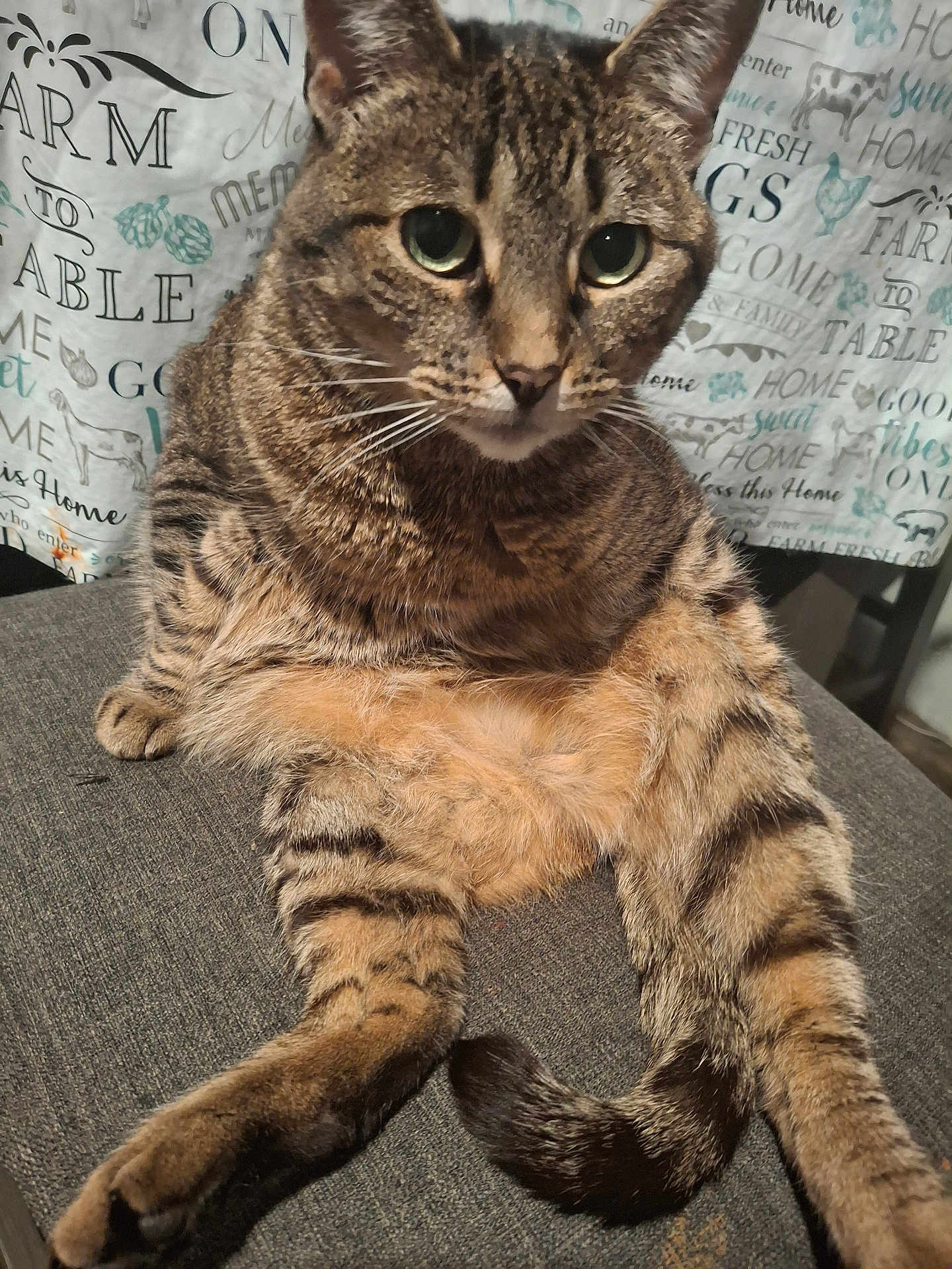 Gigi