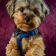 Sport joined the competition — help win amazing prizes! dog, small_dog, fur, puppy, blue_harness, portrait, textured_background, purple_background, pet, animal, cute, fluffy, brown_fur, black_nose, close_up, studio_shot, artistic, painting_style, canine, domestic_animal