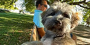 Aloha participe au concours pour gagner de l'argent avec cette photo : dog, bench, man, sunglasses, tree, park, grass, sunlight, shadow, outdoor, pet, fur, canine, relaxing, nature, daytime, leaves, person, animal, portrait