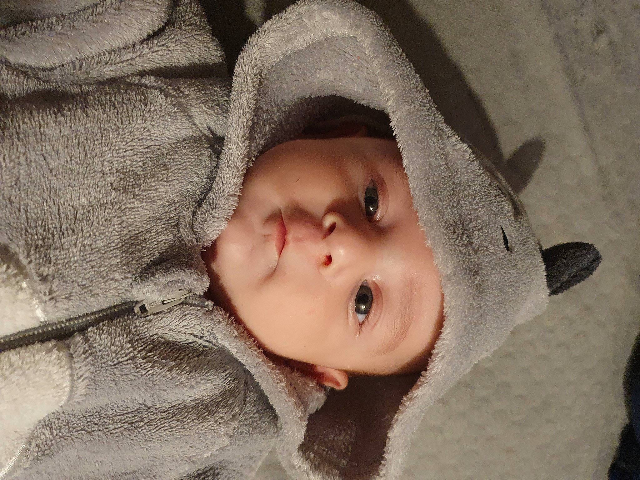 Jules a rejoint le concours — aidez-le/la à gagner de superbes lots ! baby, baby_toddler_clothing, cheek, child, comfort, ear, eye, eyelash, face, flash_photography, forehead, fur, grey, headwear, iris, lip, nose, person, skin, sleeve