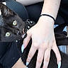 animal, black_cat, claw, close_up, cute, fur, furry, hand, holding, indoor, kitten, long_nails, nail_polish, person, pet, playful, seat, tongue_out, wristband, yellow_eyes