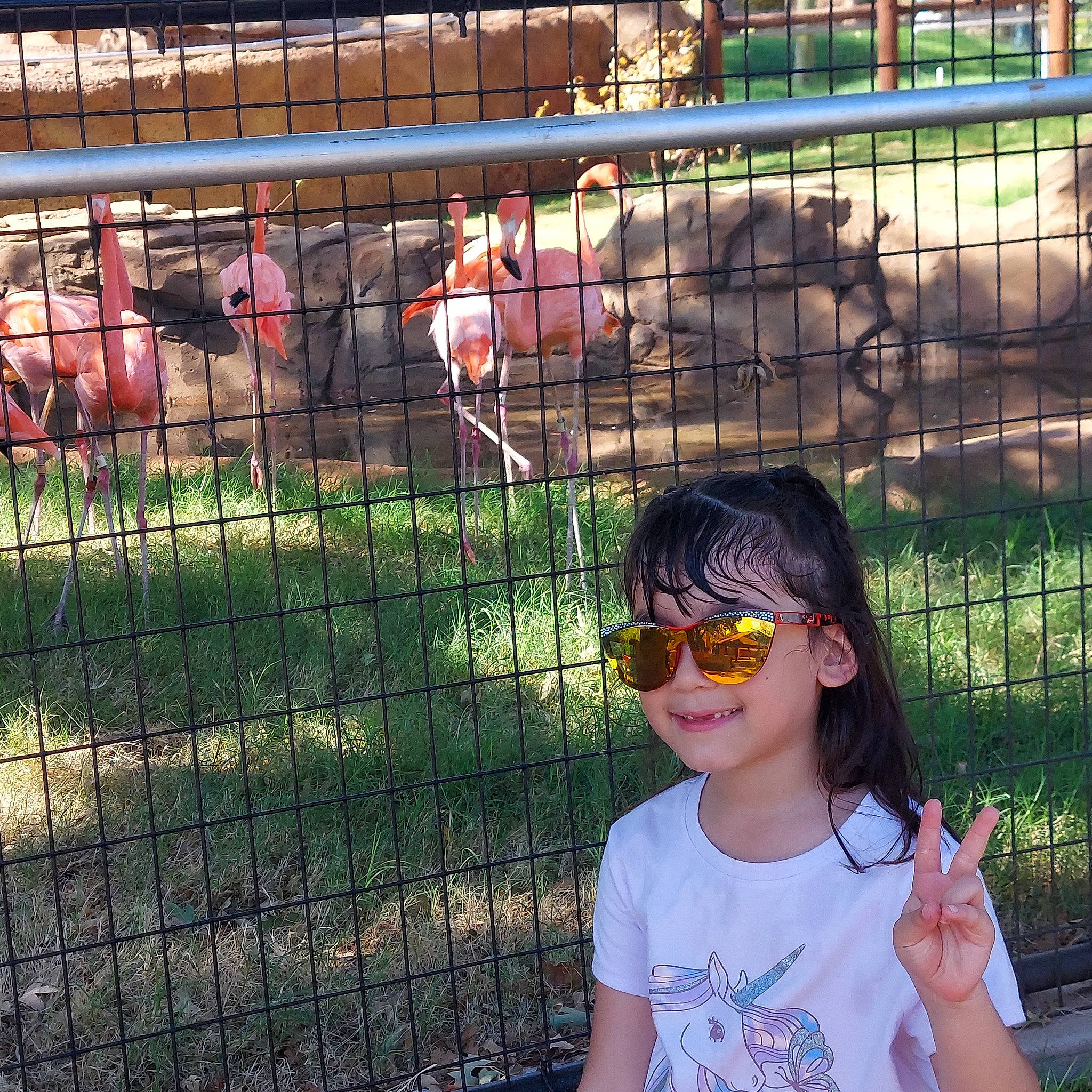 Nathalia is registered to the contest to win money with this photo: chain_link_fencing, eyewear, fence, fun, goggles, grass, happy, home_fencing, joy, leisure, line, mesh, metal, person, recreation, smile, snapshot, sunglasses, t_shirt, travel