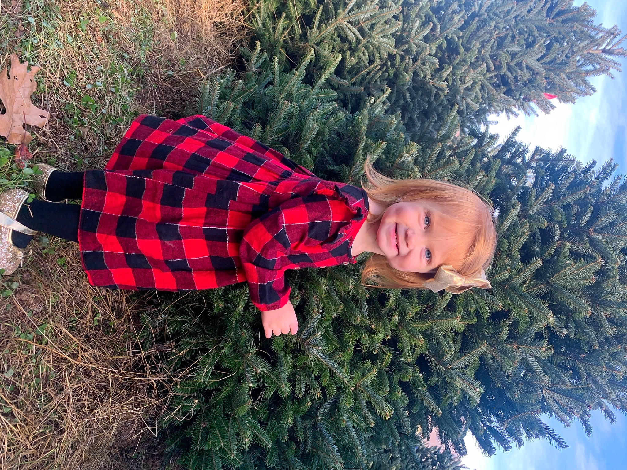 Amelia is registered to the contest to win money with this photo: botany, christmas_decoration, christmas_ornament, electric_blue, evergreen, freezing, fun, grass, happy, holiday, joy, pattern, people_in_nature, person, plaid, plant, shrub, sky, smile, tartan