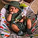 Vivaan
