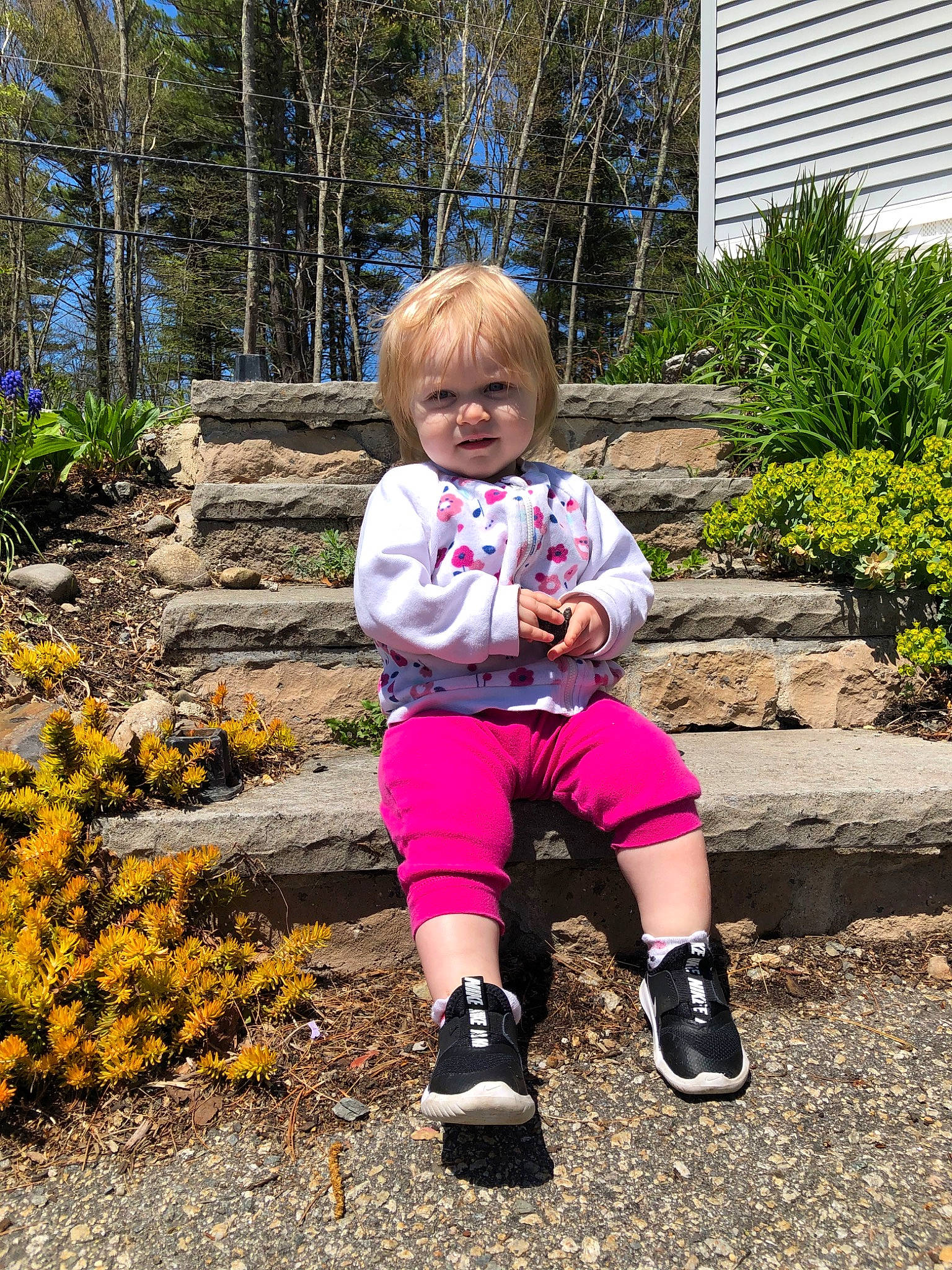 Memphis joined the competition — help win amazing prizes! autumn, botany, child, footwear, garden, grass, leaf, leg, leisure, person, pink, plant, play, recreation, shoe, sitting, spring, toddler, tree, vacation