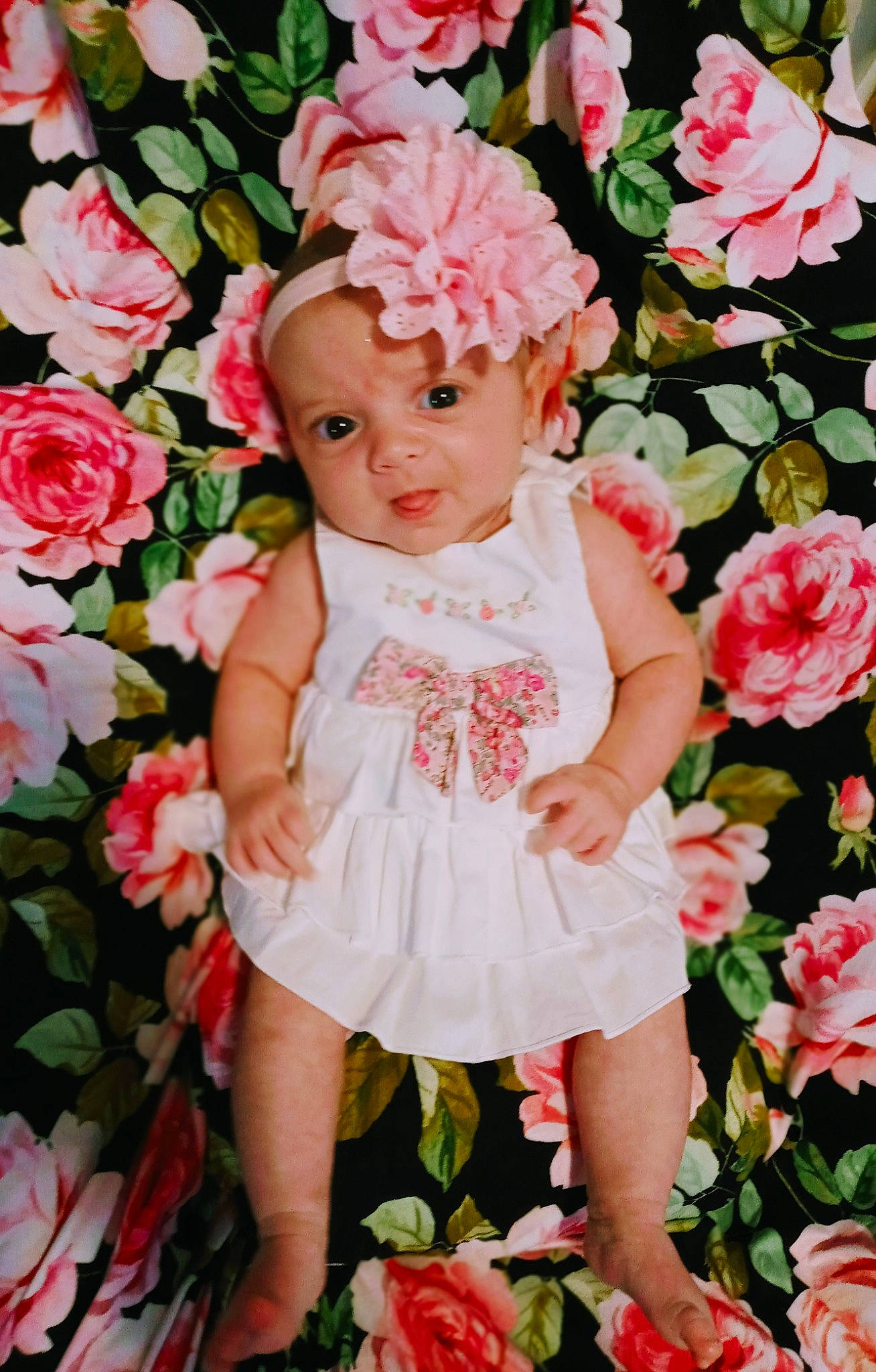 Jillian is registered to the contest to win money with this photo: baby, baby_toddler_clothing, camellia, child, cut_flowers, fashion_accessory, flower, headwear, peach, person, petal, pink, plant, rose, rose_family, ruffle, spring, textile, toddler