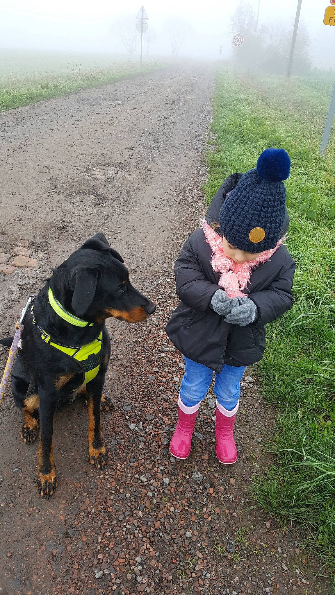 Bonny a rejoint le concours — aidez-le/la à gagner de superbes lots ! atmospheric_phenomenon, boot, carnivore, collar, companion_dog, denim, dog, dog_breed, dog_collar, human, jacket, jeans, leash, mammal, pet_supply, rural_area, snout, sporting_group, vertebrate, working_animal