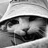 Jane a rejoint le concours — aidez-le/la à gagner de superbes lots ! animal, black_and_white, bucket_hat, cat, close_up, cute, expression, eyes, face, feline, fur, hat, headwear, indoor, mouth, nose, pet, portrait, texture, whiskers