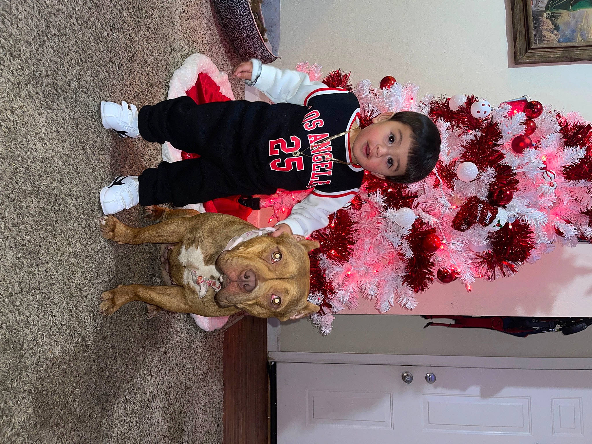 Angel joined the competition — help win amazing prizes! baby, baby_toddler_clothing, carmine, child, christmas_eve, costume, event, flooring, fun, fur, happy, holiday, magenta, person, picture_frame, red, room, smile, surprise, teddy_bear