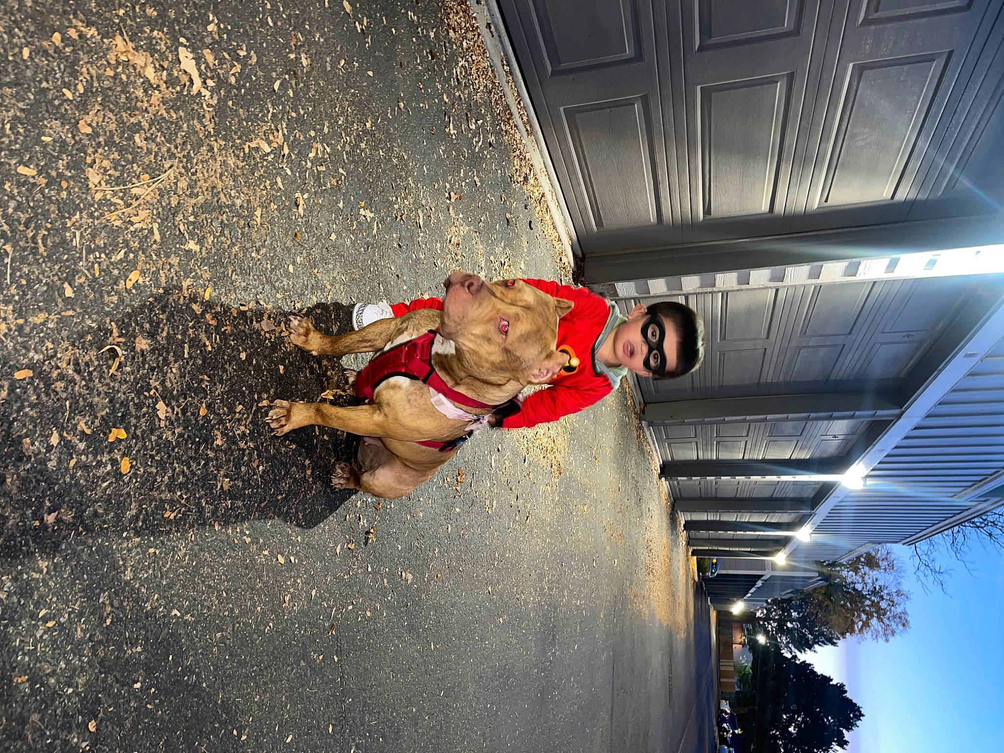 Angel is registered to the contest to win money with this photo: adventure, asphalt, concrete, extreme_sport, fun, leisure, person, recreation, road, road_surface, rope, shadow, sidewalk, soil, street, tints_and_shades, tree