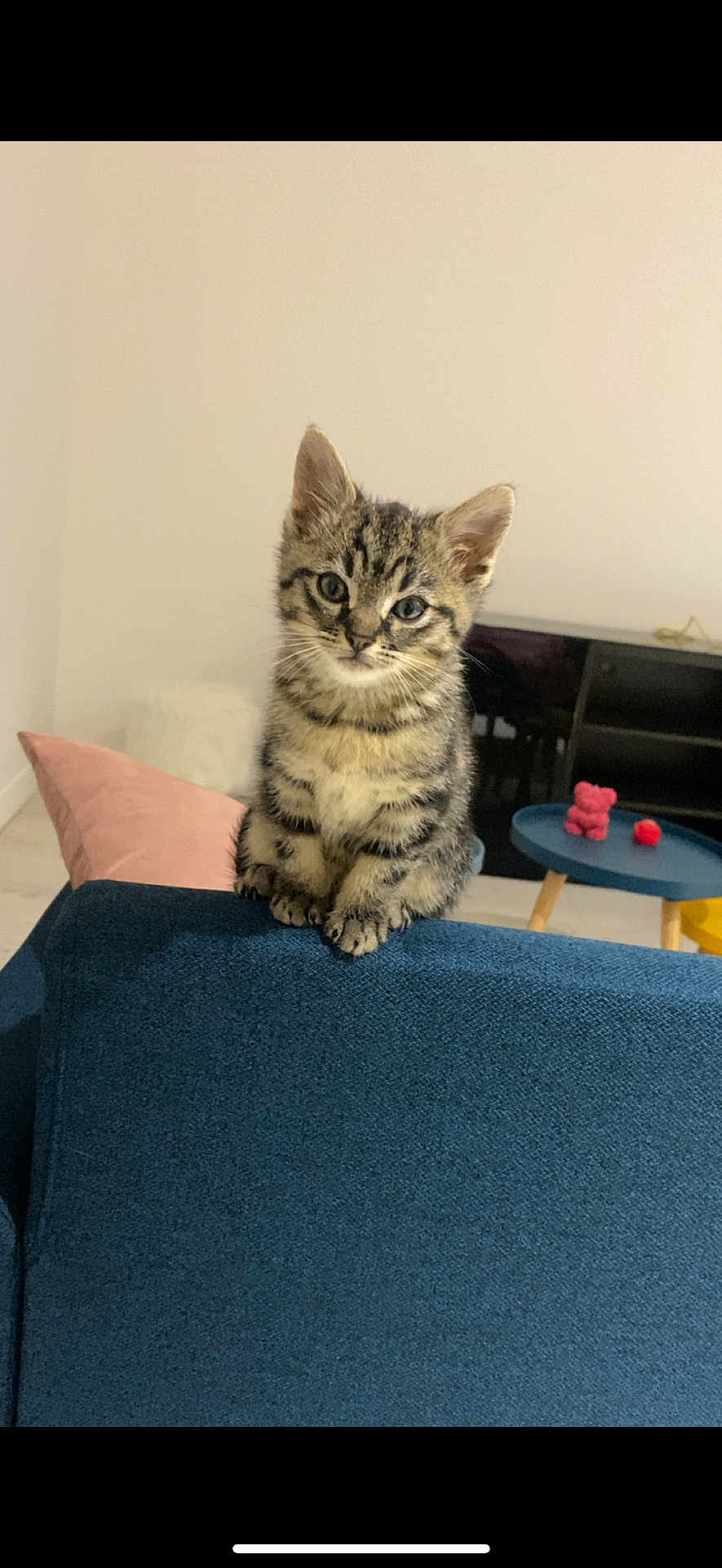 Mimi