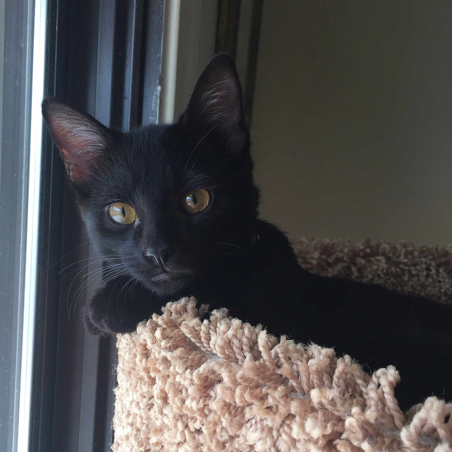 Salem