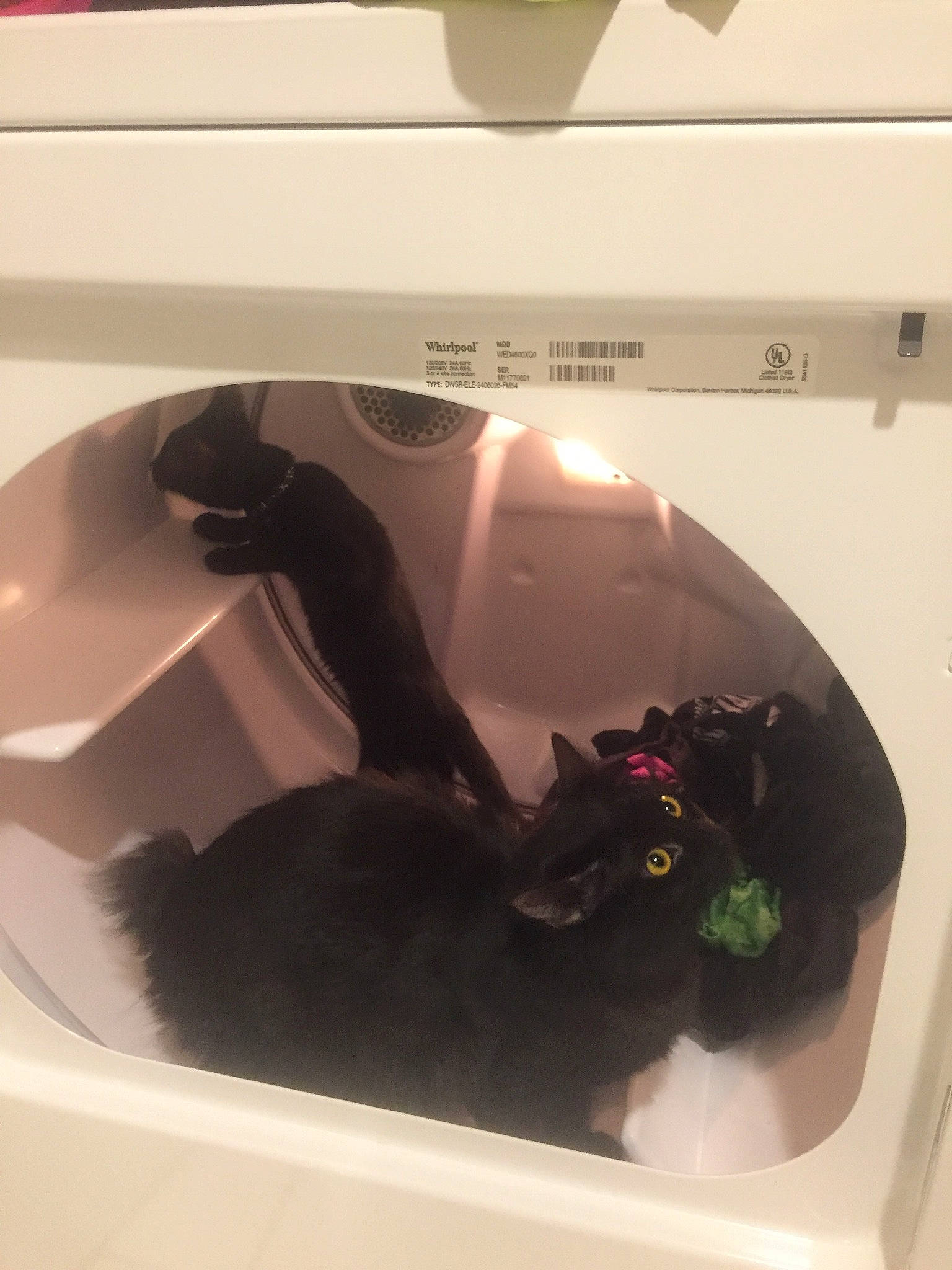 Salem joined the competition — help win amazing prizes! bathtub