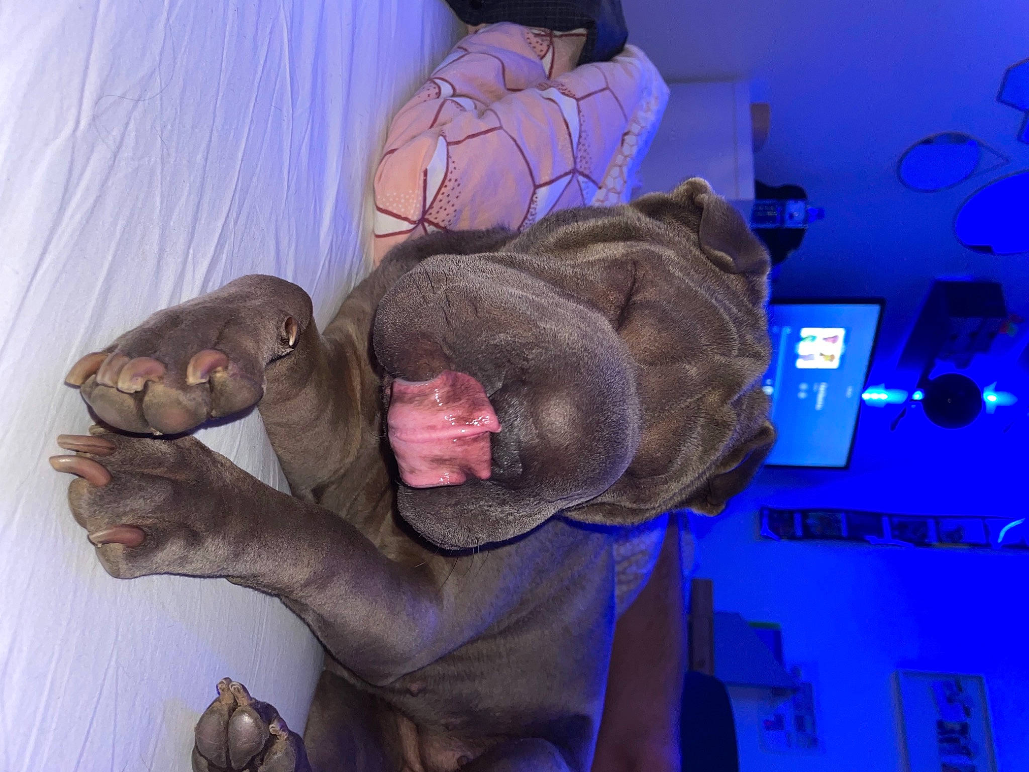 Hoshi participe au concours pour gagner de l'argent avec cette photo : animation, blue, electric_blue, eyewear, flesh, fun, fur, gesture, hat, human_body, jaw, personal_protective_equipment, room, skull, suit, tree, visual_arts, wrinkle