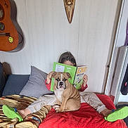 Rillette a rejoint le concours — aidez-le/la à gagner de superbes lots ! child, reading, book, bulldog, puppy, bed, blanket, pillow, slippers, guitar, wall_mask, indoors, casual, relaxed, curious_dog, colorful, red_blanket, light, home, cozy