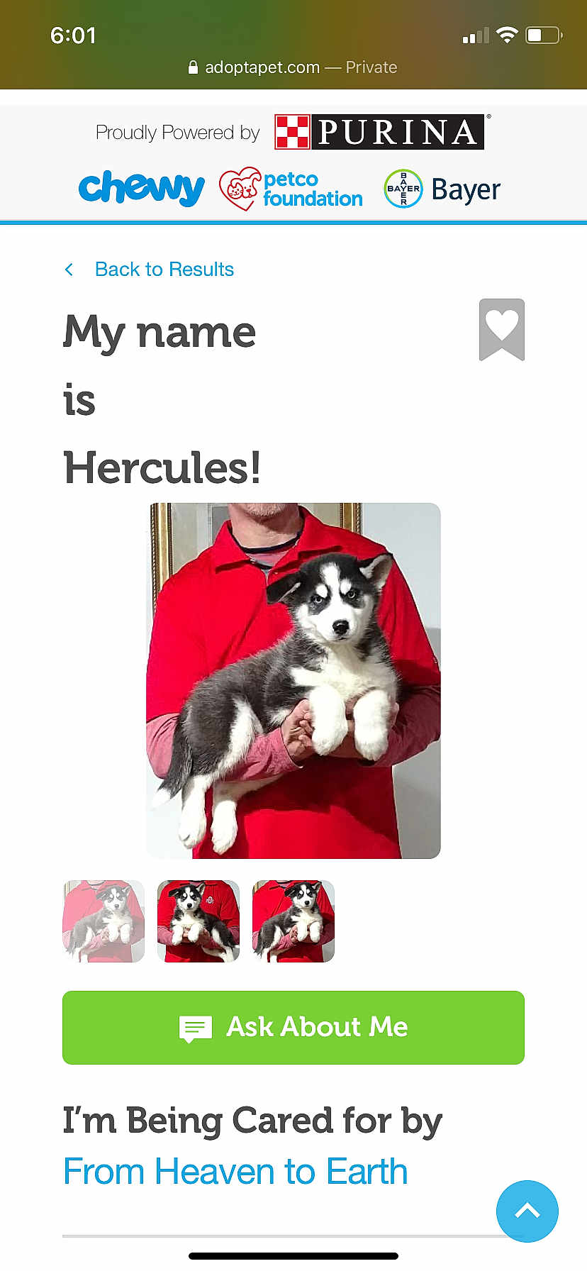 Hercules.foundonline.voteanyway