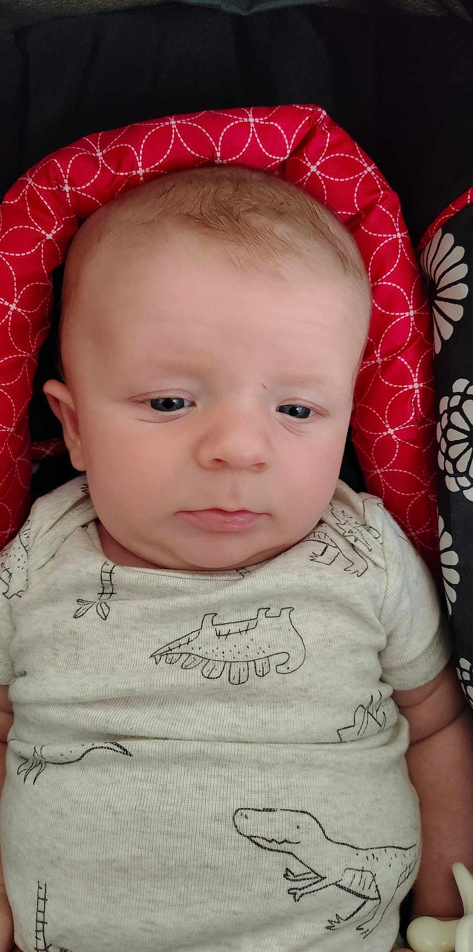 Hudson joined the competition — help win amazing prizes! baby, infant, face, onesie, dinosaur_print, clothing, red_cushion, pattern, black_background, white_flower_pattern, portrait, child, young, cute, indoors, closeup, human, newborn, skin, expression