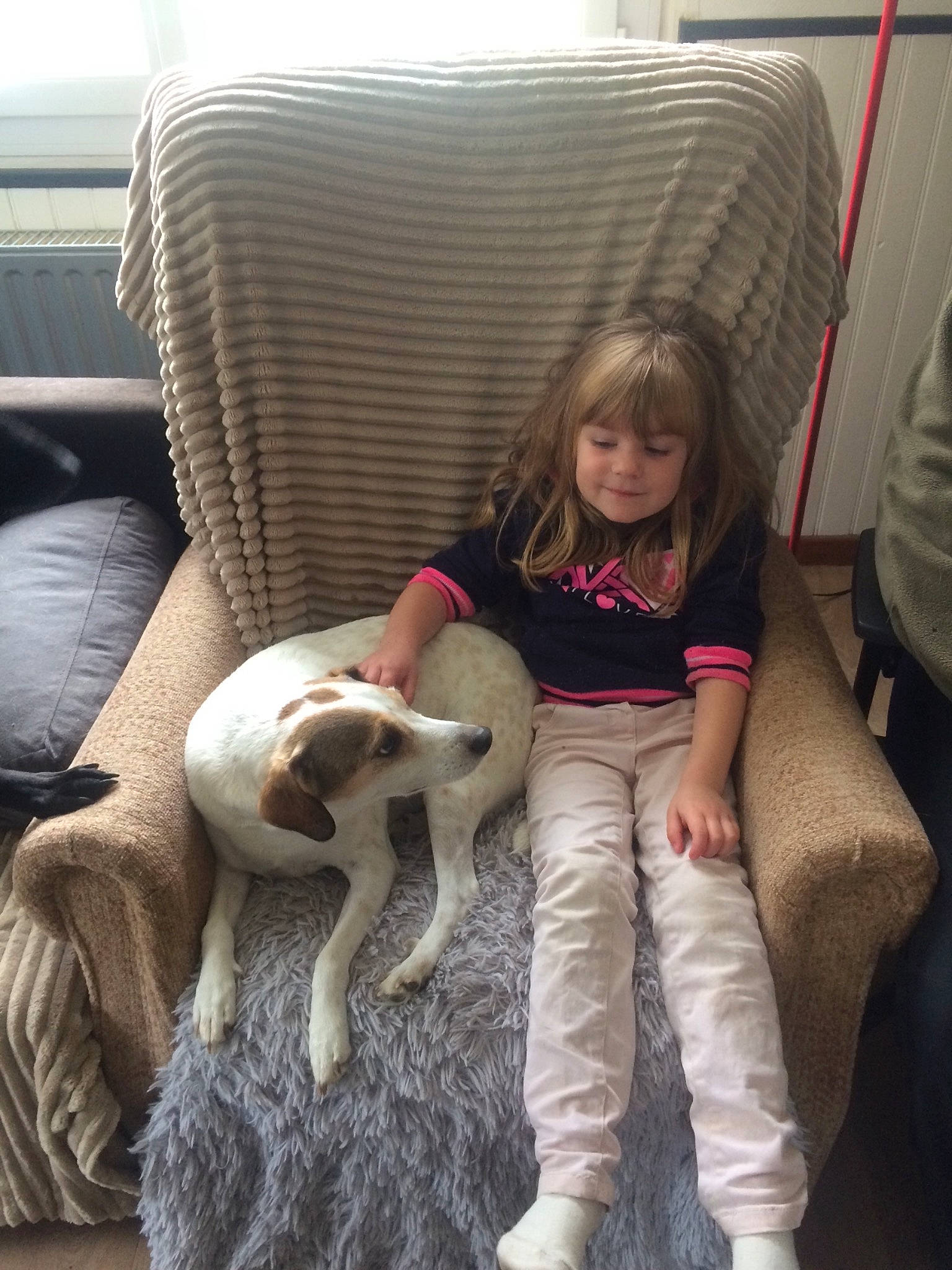 Aston a rejoint le concours — aidez-le/la à gagner de superbes lots ! car_seat, carnivoran, child, dog, dog_like_mammal, fun, fur, furniture, girl, joy, mammal, person, product, sitting, toddler, vertebrate