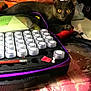 Bankit a rejoint le concours — aidez-le/la à gagner de superbes lots ! cat, gray_cat, yellow_eyes, table, tablecloth, container, pencil, case, indoor, pet, curious, resting, objects, background, soft_light, colorful, still_life, domestic, feline, closeup
