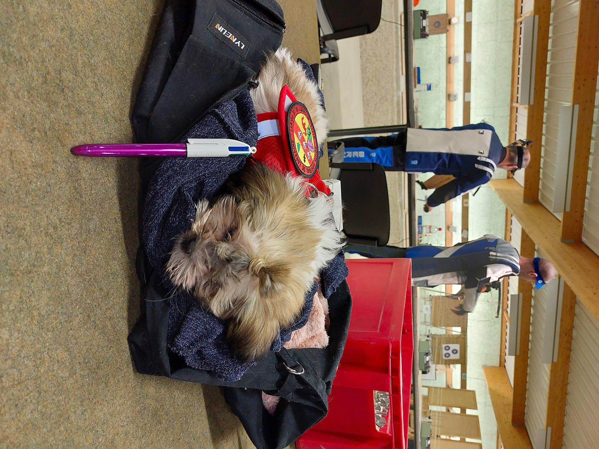 Angel participe au concours pour gagner de l'argent avec cette photo : bag, baggage, fur, fur_clothing, luggage_and_bags, natural_material, room, travel, wood