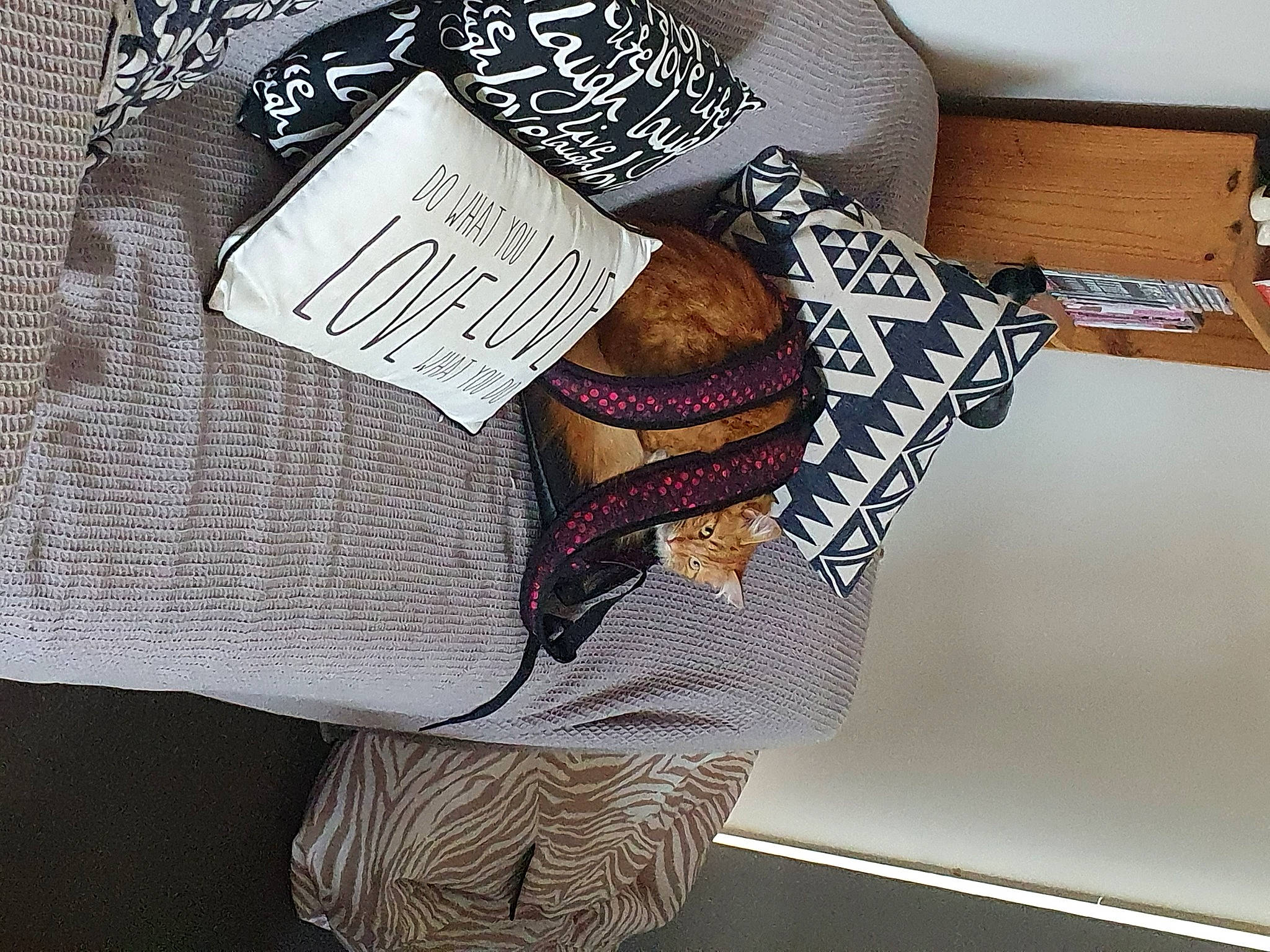 Ed 'The Red' is registered to the contest to win money with this photo: bag, carmine, denim, eyewear, fashion_accessory, fashion_design, font, grey, headgear, linens, outerwear, pattern, sleeve, sportswear, t_shirt, thread, waist, wool, woolen, wrist